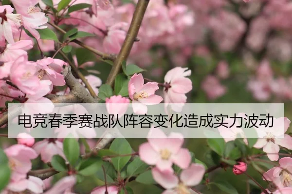 电竞春季赛战队阵容变化造成实力波动